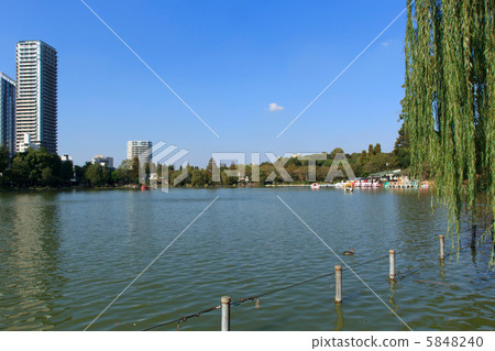 Ueno Shinobi's Pond 5848240