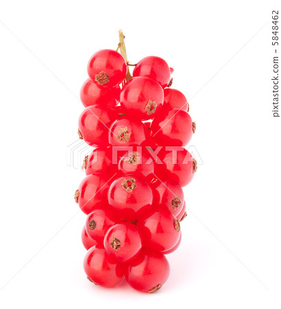 Red currants Red currants 5848462