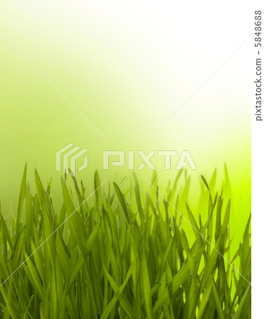 Beautiful nature background 5848688