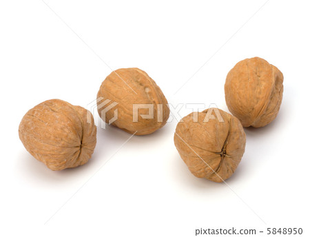 Circassian walnut isolated on the white background Circassian walnut isolated on the white background 5848950