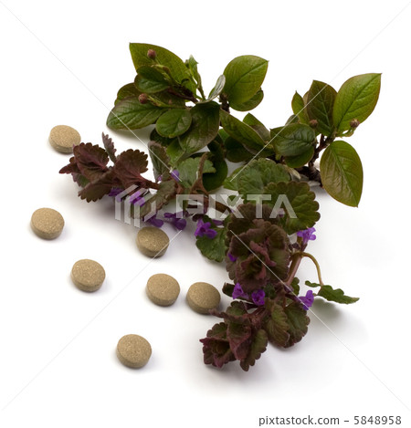 herbal medicine isolated on white background herbal medicine isolated on white background 5848958