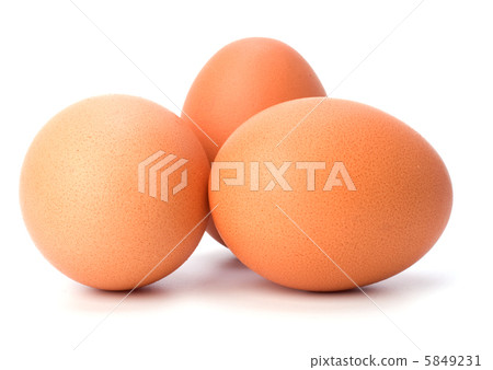 eggs isolated on white background 5849231
