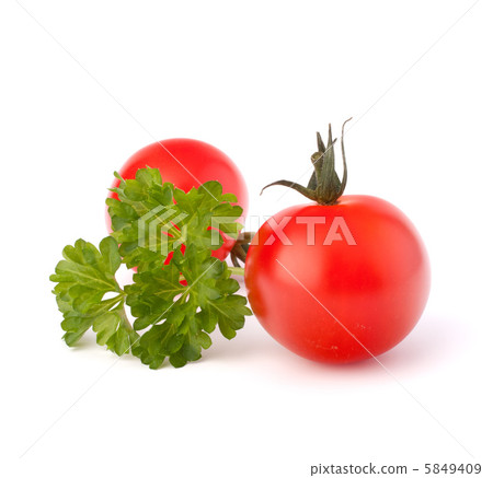 Small cherry tomato and parsley spice 5849409