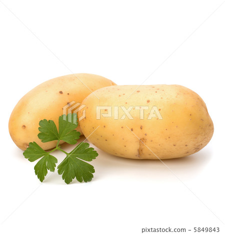 New potato and green parsley 5849843