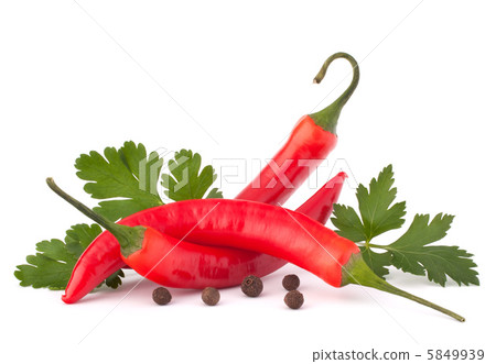 Hot red chili or chilli pepper and parsley leaves still life 5849939