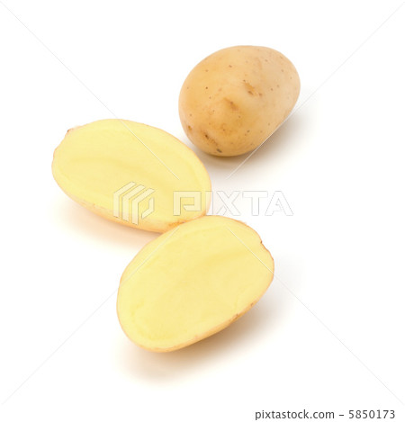 New potato New potato 5850173