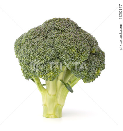 Broccoli vegetable Broccoli vegetable 5850177