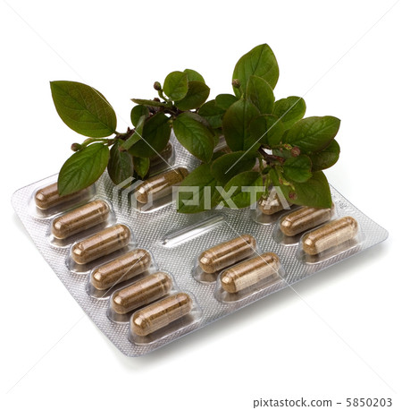 herbal medicine isolated on white background 5850203