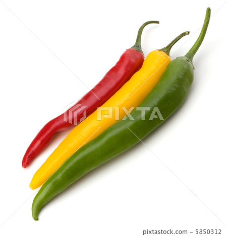 Chili pepper isolated on white background 5850312