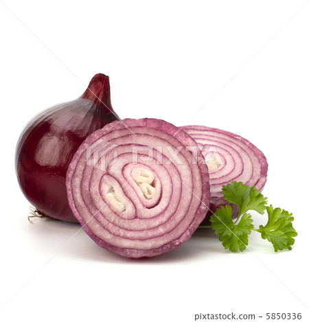 Red sliced onion and fresh parsley still life Red sliced onion and fresh parsley still life 5850336