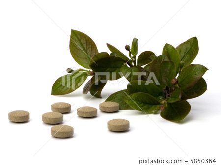 herbal medicine isolated on white background 5850364