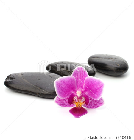 Zen pebbles path. Spa and healthcare concept. Zen pebbles path. Spa and healthcare concept. 5850416