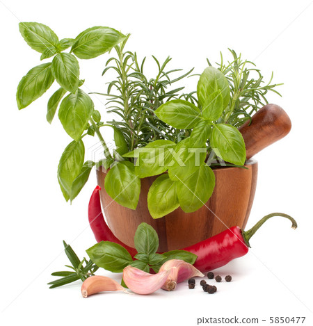 fresh flavoring herbs and spices in wooden mortar fresh flavoring herbs and spices in wooden mortar 5850477