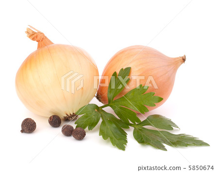 Onion and garlic clove 5850674