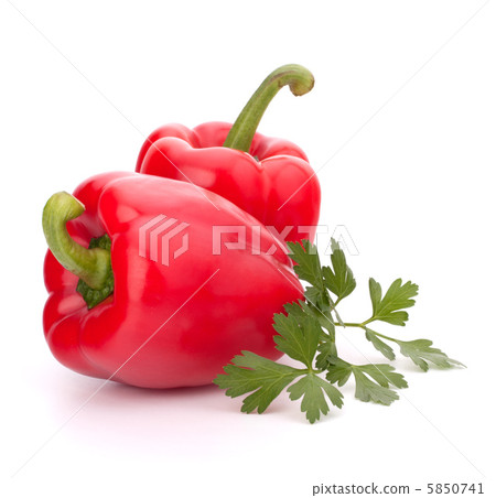 red pepper isolated on white background red pepper isolated on white background 5850741