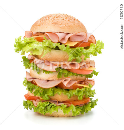 Junk food hamburger Junk food hamburger 5850780
