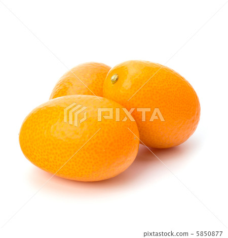 Cumquat or kumquat Cumquat or kumquat 5850877