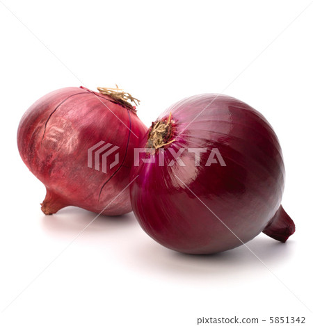 Red onion tuber 5851342