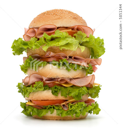 Junk food hamburger Junk food hamburger 5851344