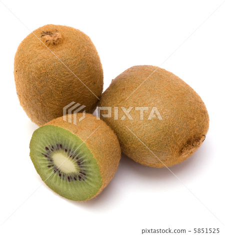 kiwi fruit isolated on white background kiwi fruit isolated on white background 5851525