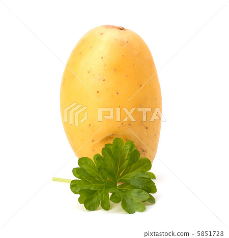 New potato New potato 5851728