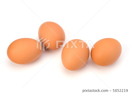 Eggs Eggs 5852219
