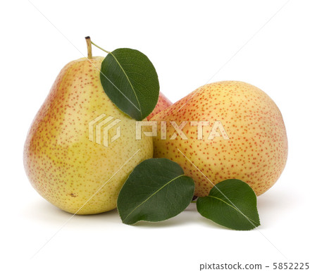 Pear fruits Pear fruits 5852225