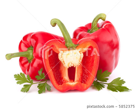 red pepper isolated on white background red pepper isolated on white background 5852375