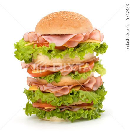 Junk food hamburger Junk food hamburger 5852488
