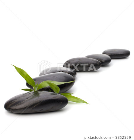 Zen pebbles path. Spa and healthcare concept. Zen pebbles path. Spa and healthcare concept. 5852539
