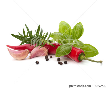 Chili pepper and flavoring herbs 5852569