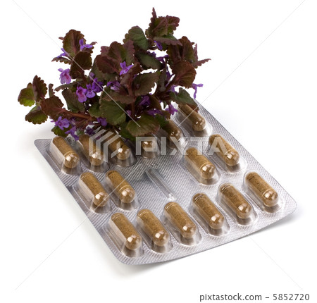 herbal medicine isolated on white background 5852720