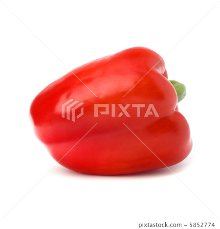 pepper isolated on white background 5852774