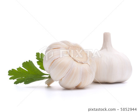 garlic bulb 5852944