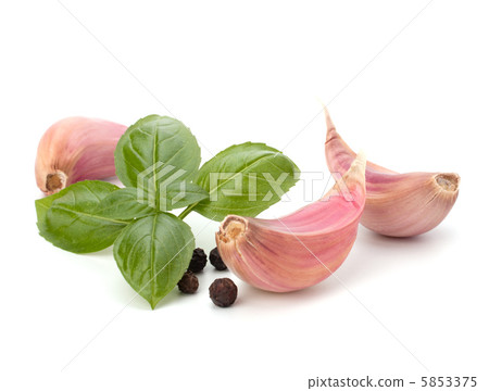 Garlic clove and basil leaf 5853375