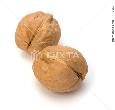 Circassian walnut isolated on the white background Circassian walnut isolated on the white background 5853660