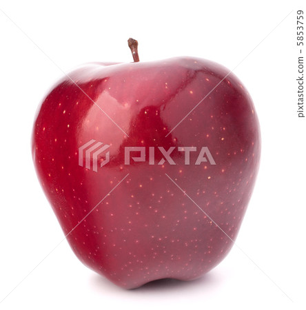 red apple red apple 5853759