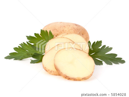 potato tubers and parsley leaves 5854028