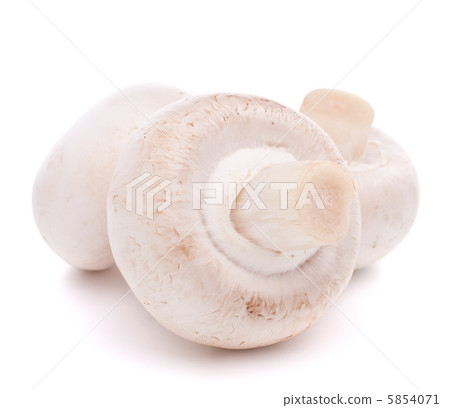 Champignon mushroom Champignon mushroom 5854071