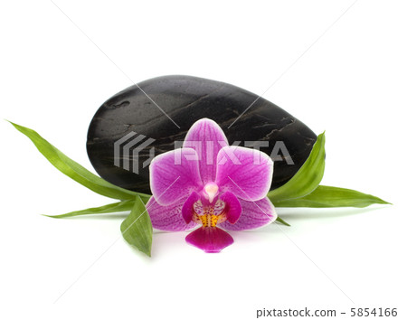 Spa and healthcare concept. Orchid and stones. Spa and healthcare concept. Orchid and stones. 5854166