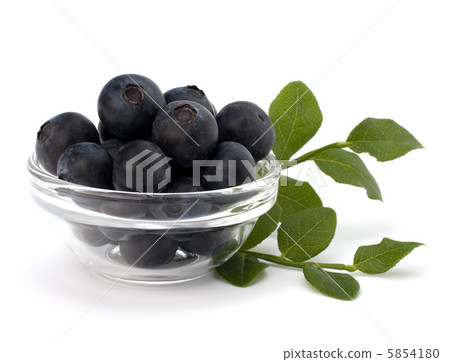 Blue bilberry or whortleberry Blue bilberry or whortleberry 5854180