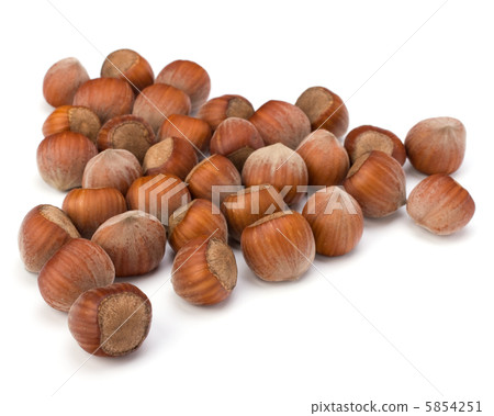 hazelnuts isolated on white background hazelnuts isolated on white background 5854251
