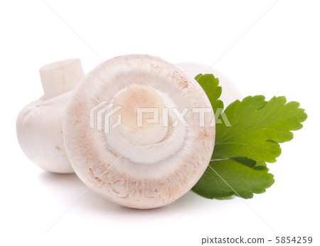 Champignon mushroom and parsley leaves 5854259