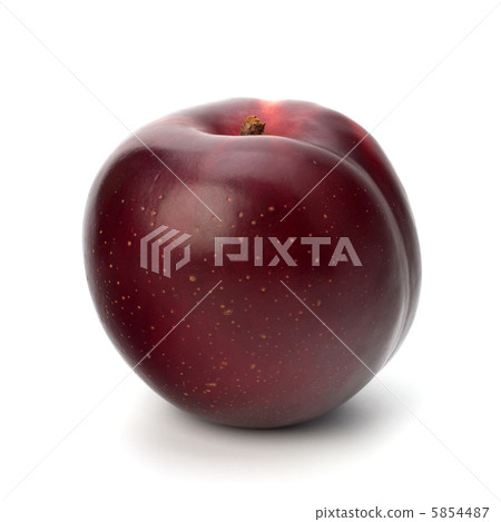 Red plum fruit 5854487