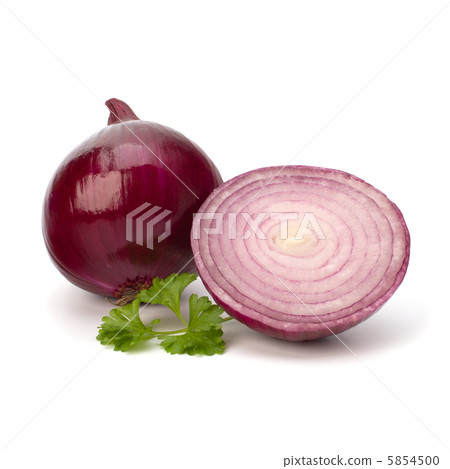 Red sliced onion and fresh parsley still life Red sliced onion and fresh parsley still life 5854500