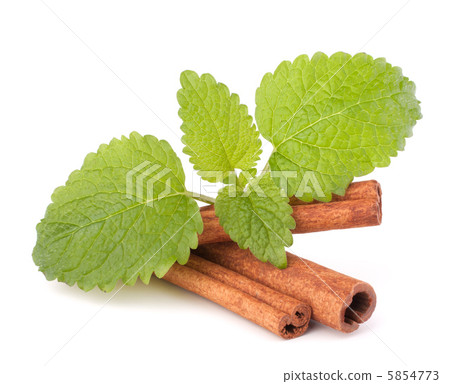 Cinnamon sticks and fresh mint leaf 5854773