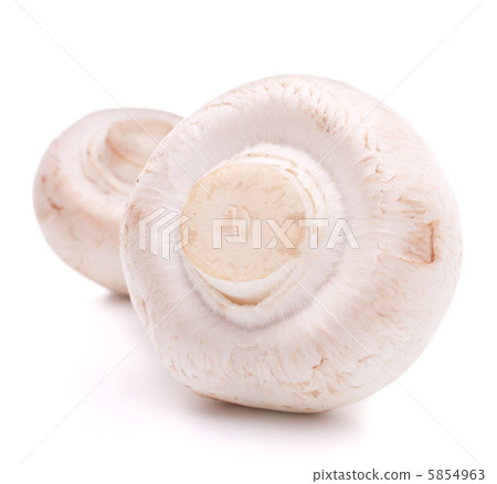 Champignon mushroom 5854963