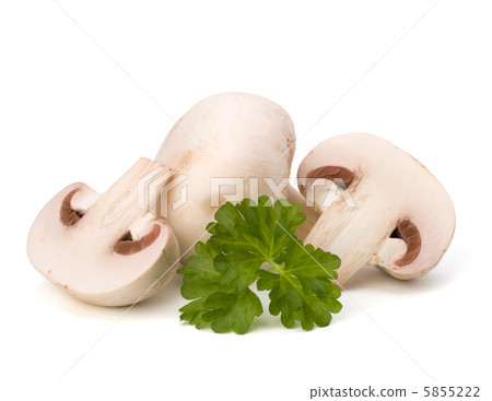 Champignon mushroom and fresh parsley Champignon mushroom and fresh parsley 5855222