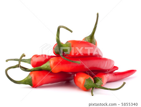 Hot red chili or chilli pepper Hot red chili or chilli pepper 5855340