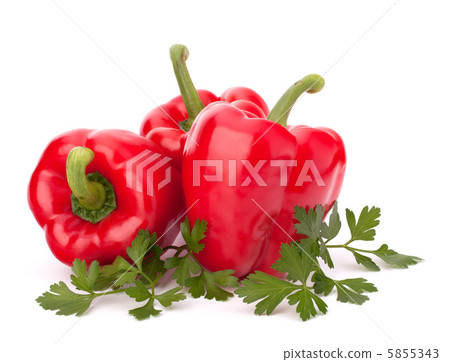 red pepper isolated on white background red pepper isolated on white background 5855343